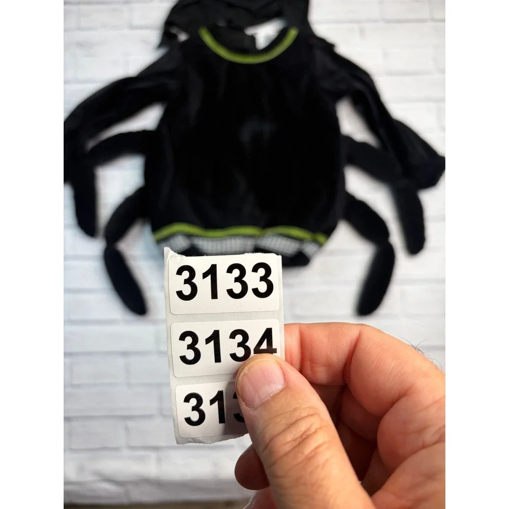 Pottery Barn Kids Spider Halloween Costume Black Velvet Plush Tunic Hood 4-6